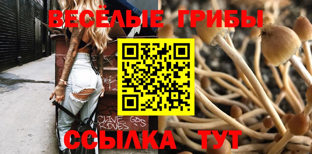 Псилоцибиновые грибы Magic Shrooms  магазин продажи   Павловский Посад  Вход с VPN  Галлюциногенные грибы MAGIC MUSHROOMS 