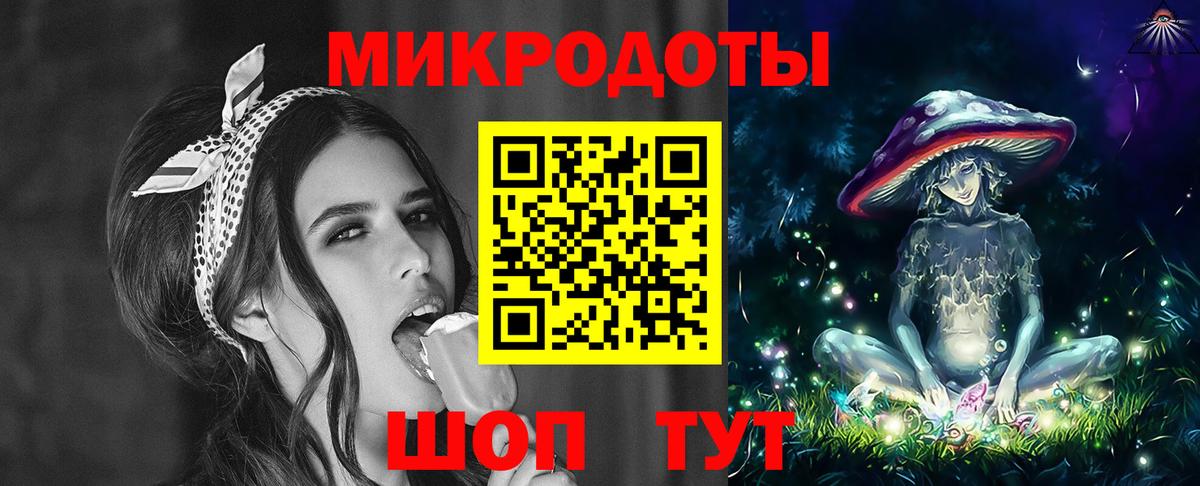 Псилоцибиновые грибы Psilocybine cubensis Павловский Посад